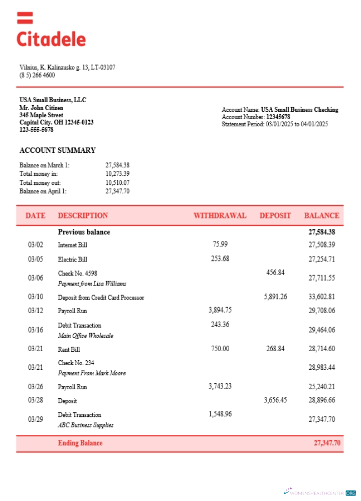 Download Lithuanian Citadele business firm statement Word and PDF format (1) Photoshop template